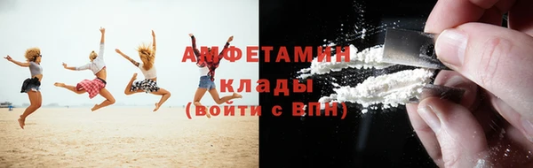 прущие грибы Заполярный