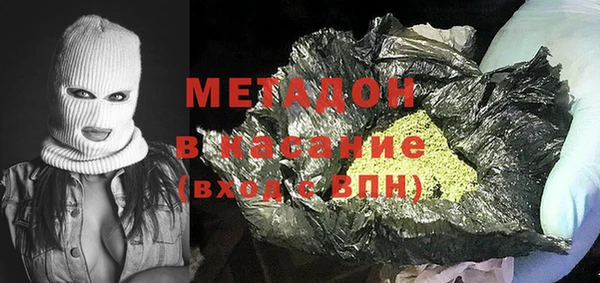 прущие грибы Заполярный
