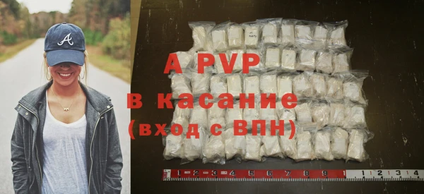 прущие грибы Заполярный