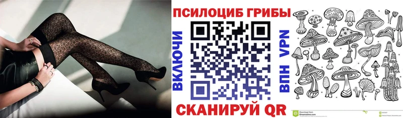 Купить закладки  Артёмовский  Галлюциногенные грибы Psilocybine cubensis 